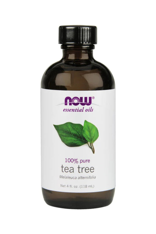 now Tea Tree Essential Oil - 4 fl oz